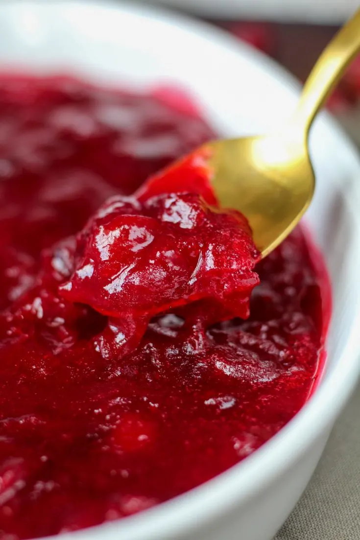 easy cranberry recipes - up close shot of cranberry sauce