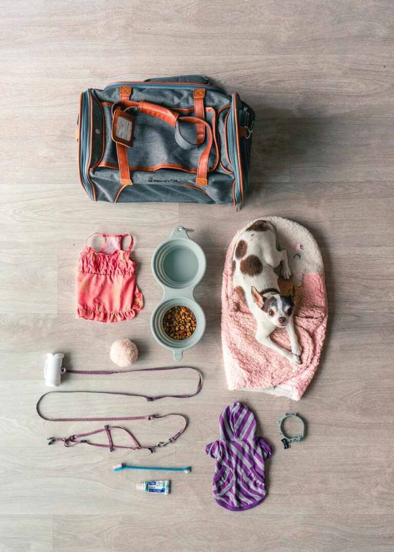 How to Create a Cozy Travel Setup for Your Pets—Comfort, Routines, and Enrichment Tips