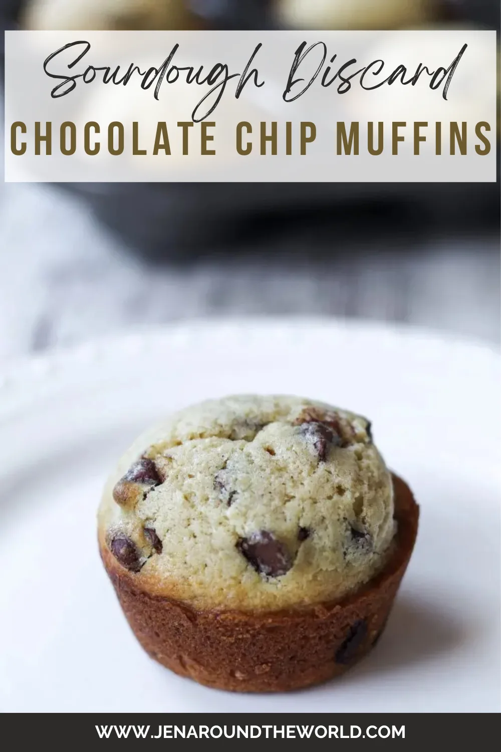 sourdough discard chocolate chip muffins