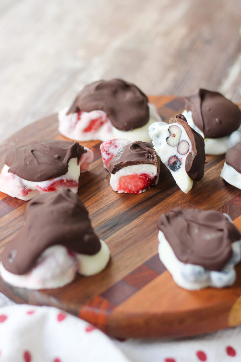 Chocolate Covered Fruit Yogurt Bites