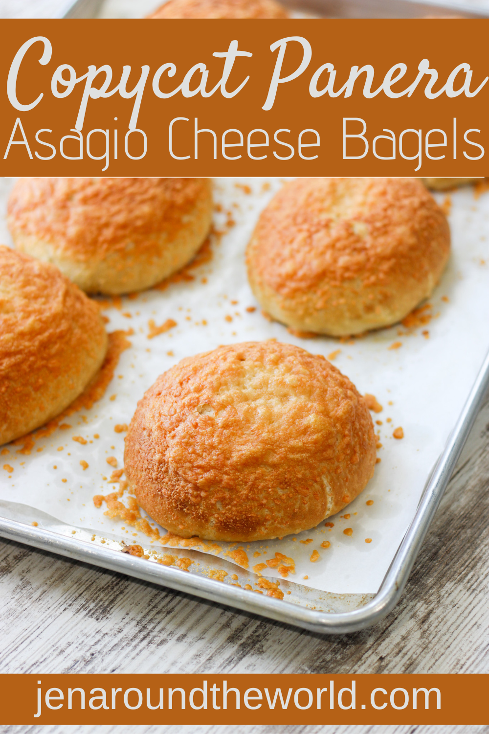 copycat Panera Asiago cheese bagels