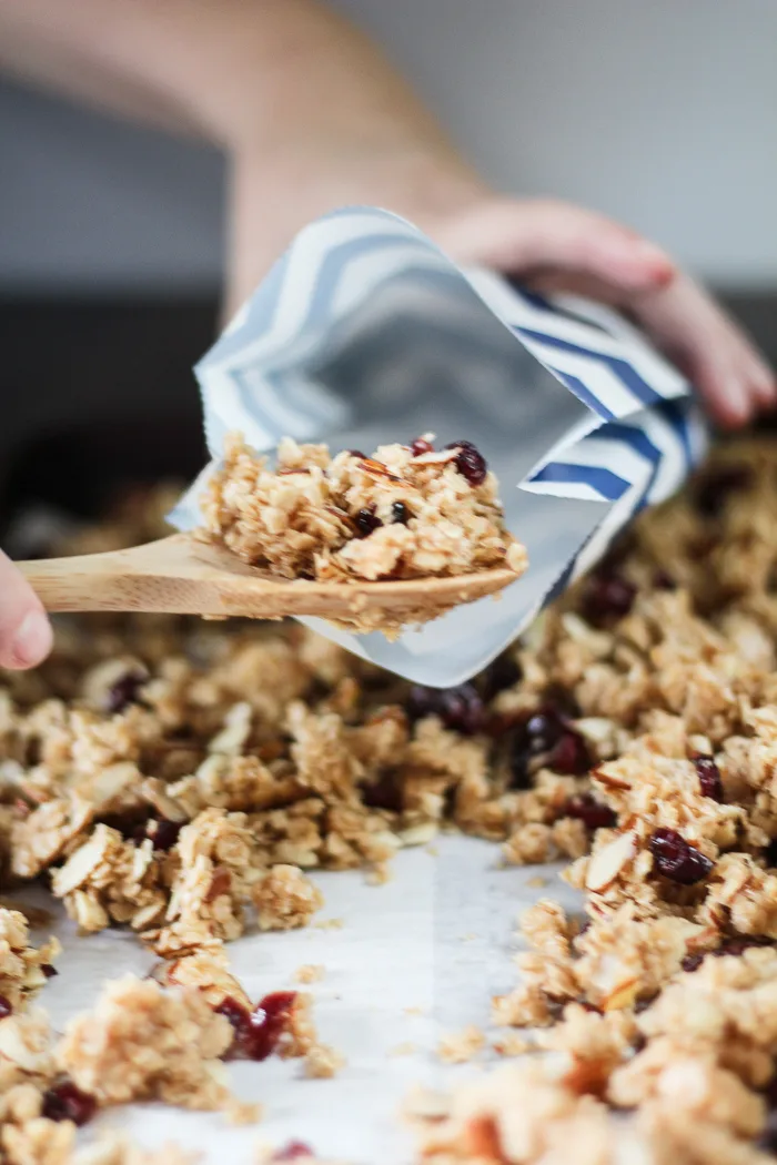 On the Go Granola Pouches