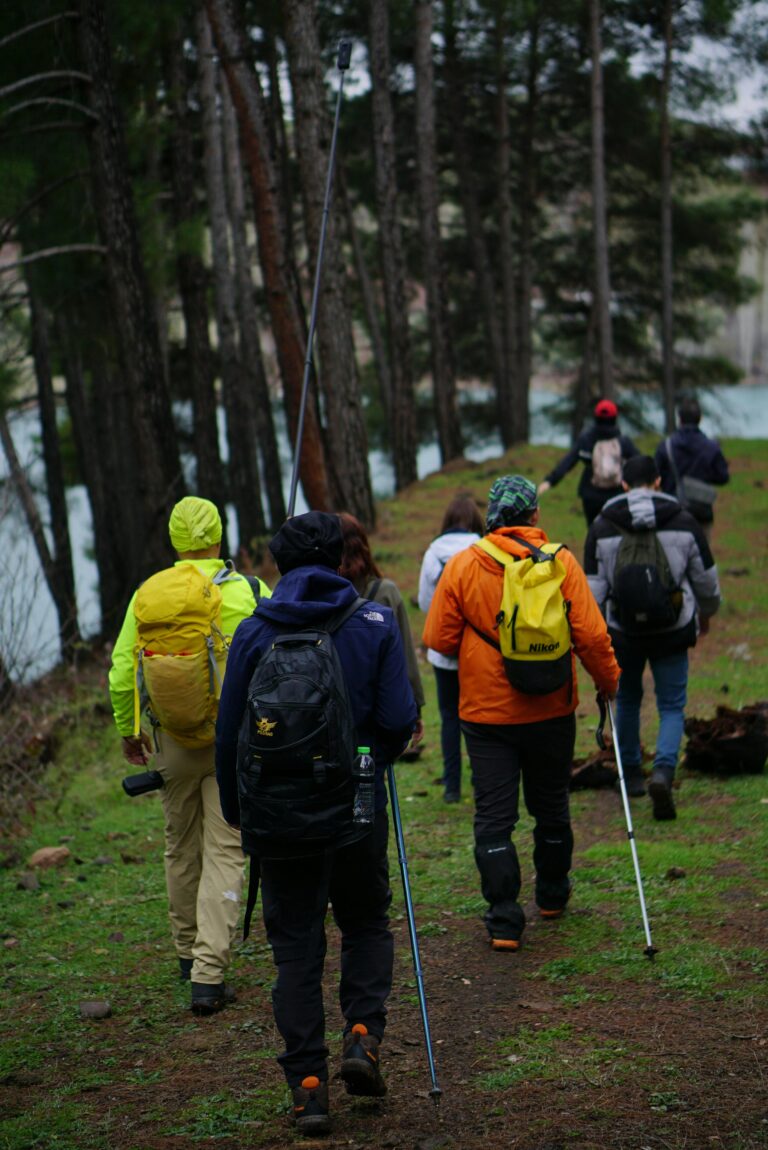 Top 5 Reasons to Plan a Group Trip in 2026