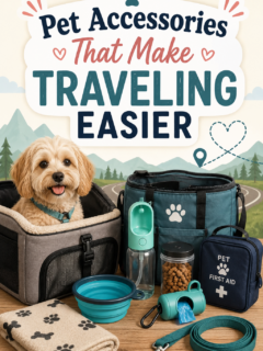 pet accessories that make traveling easier