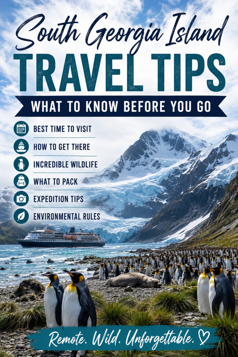 South Georgia Island Travel Tips: What to Know Before You Go