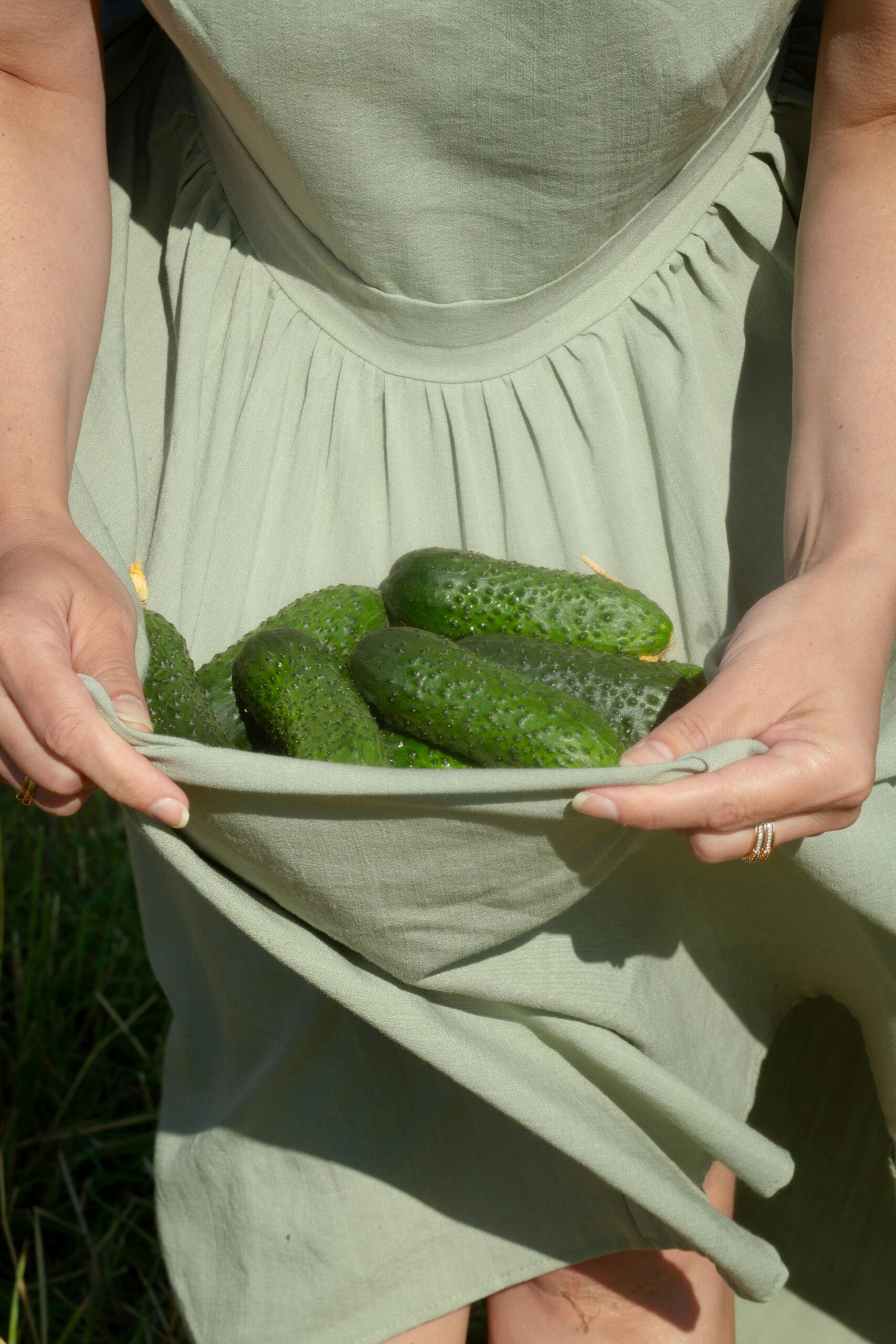 5 Summer friendly high protein meals