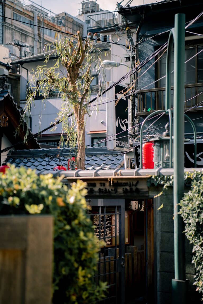 Unforgettable Journeys: Once-In-A-Lifetime Experiences To Have In Japan