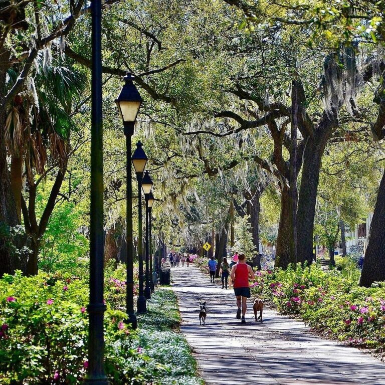 A Family Weekend in Savannah, Georgia: Things to Do, Eat, and Enjoy
