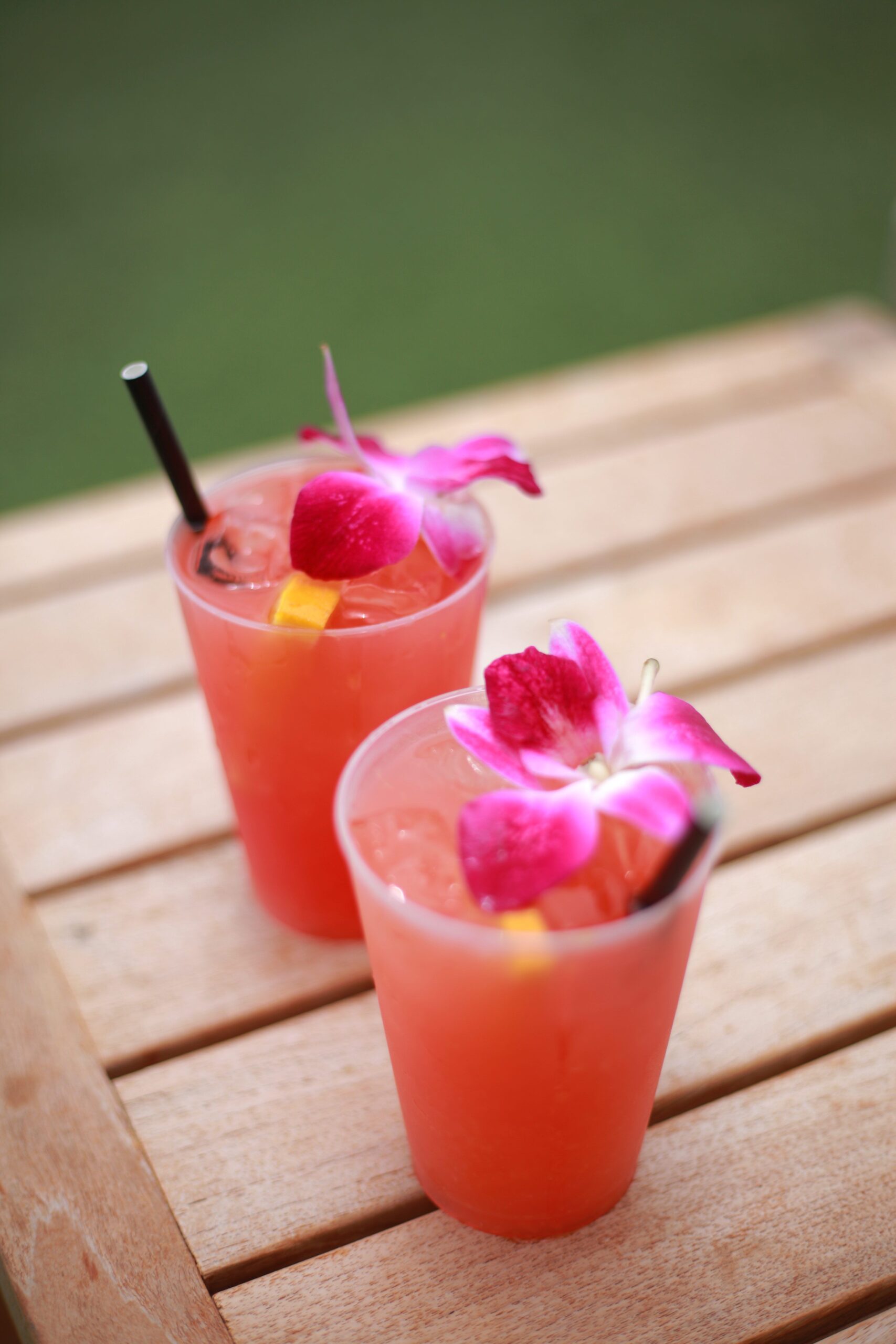 tropical cocktails